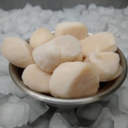 Nova Scotia Ocean Scallops (1LB) Nova Scotia Ocean Scallops (1LB)