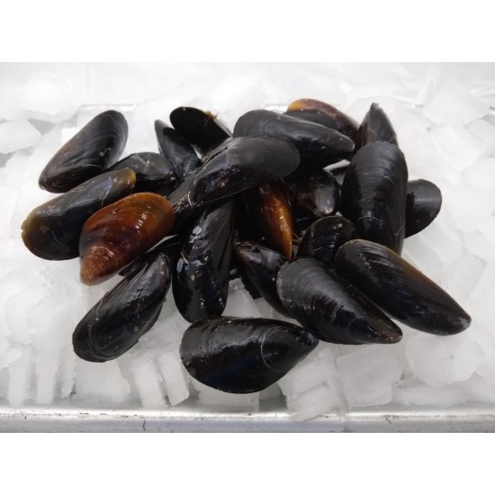 Fresh PEI mussels (2LB) Fresh PEI mussels (2LB)