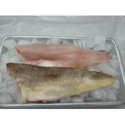 Fresh Pickerel (1LB) Fresh Pickerel (1LB)