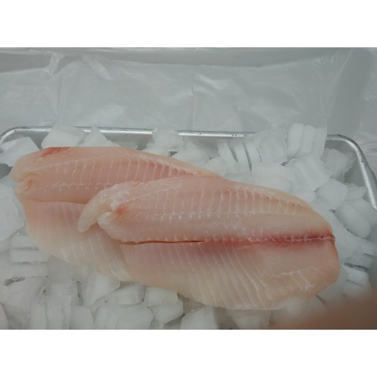 Fresh Ecuadorian Tilapia (1LB) Fresh Ecuadorian Tilapia (1LB)